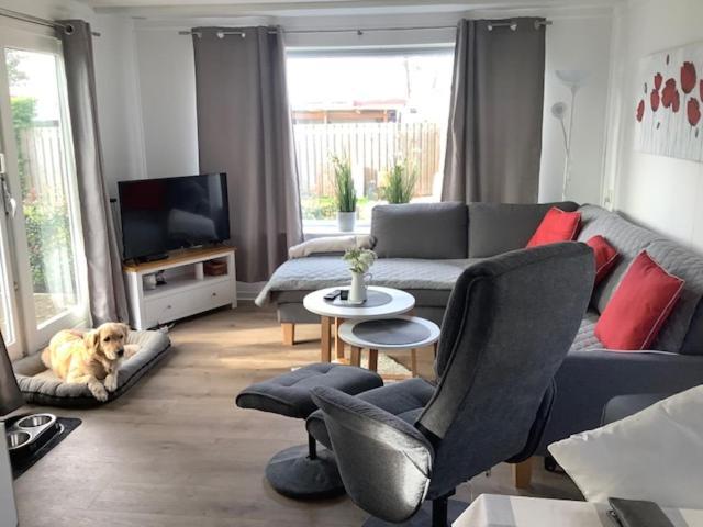 Ferienhaus Meise Wervershoof Exteriör bild